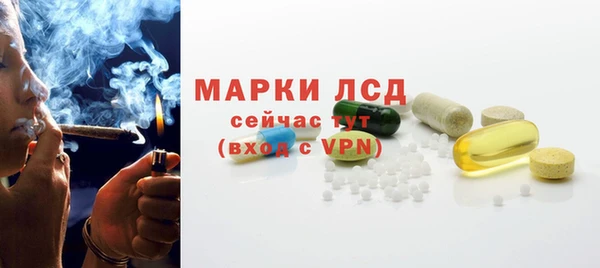 СК Дмитров