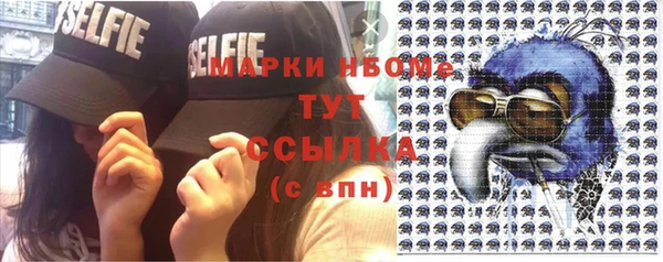 твердый Гусев