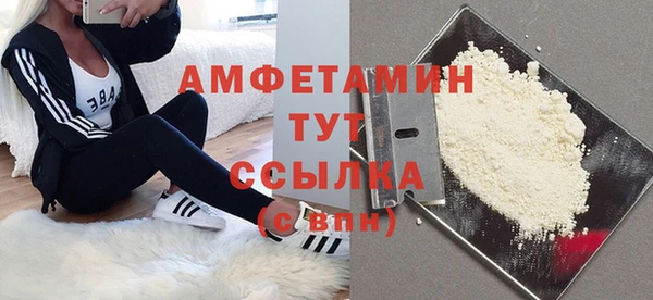 СК Дмитров