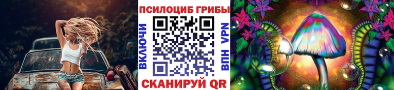 Псилоцибиновые грибы Psilocybine cubensis  что такое   kraken сайт  Зерноград 