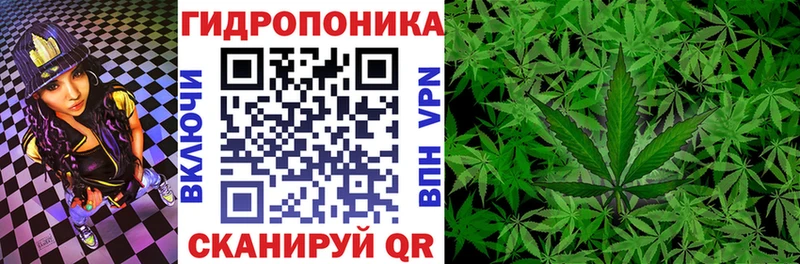 Каннабис тримм  даркнет сайт  Зерноград 